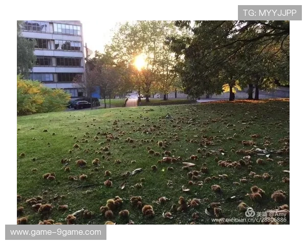 诺维奇足球俱乐部发展历史与城市文化融合探索分析 诺维奇足球俱乐部发展历史与城市文化融合探索分析